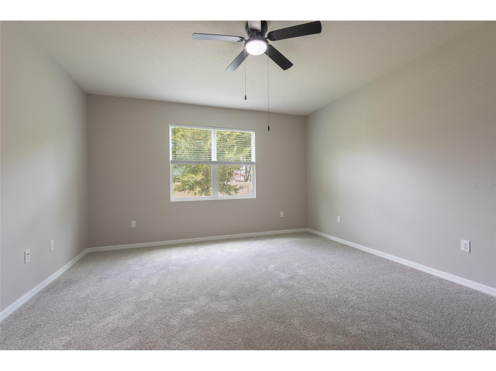 31420 Tansy Bend Wesley Chapel FL 33545 TB8522548 image36