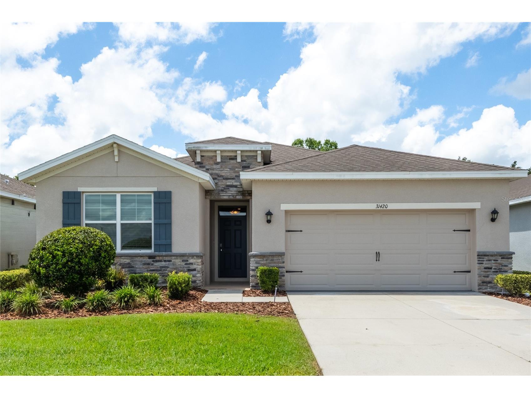 31420 Tansy Bend Wesley Chapel FL 33545 TB8522548 image4