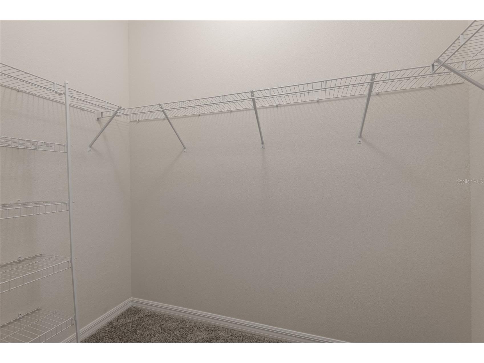 31420 Tansy Bend Wesley Chapel FL 33545 TB8522548 image40