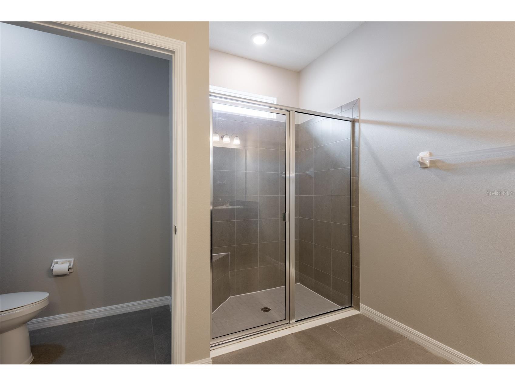 31420 Tansy Bend Wesley Chapel FL 33545 TB8522548 image42