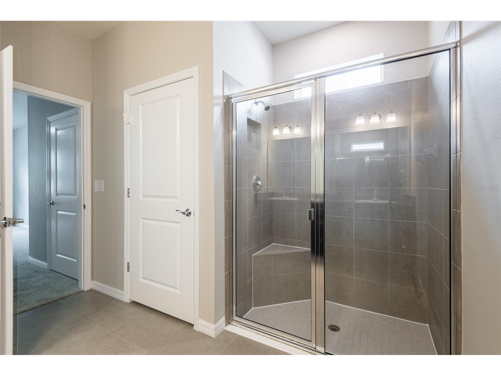 31420 Tansy Bend Wesley Chapel FL 33545 TB8522548 image43