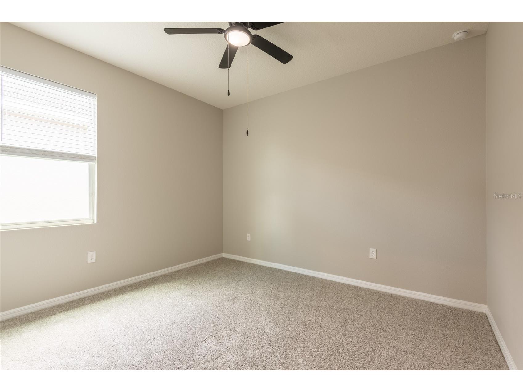 31420 Tansy Bend Wesley Chapel FL 33545 TB8522548 image49