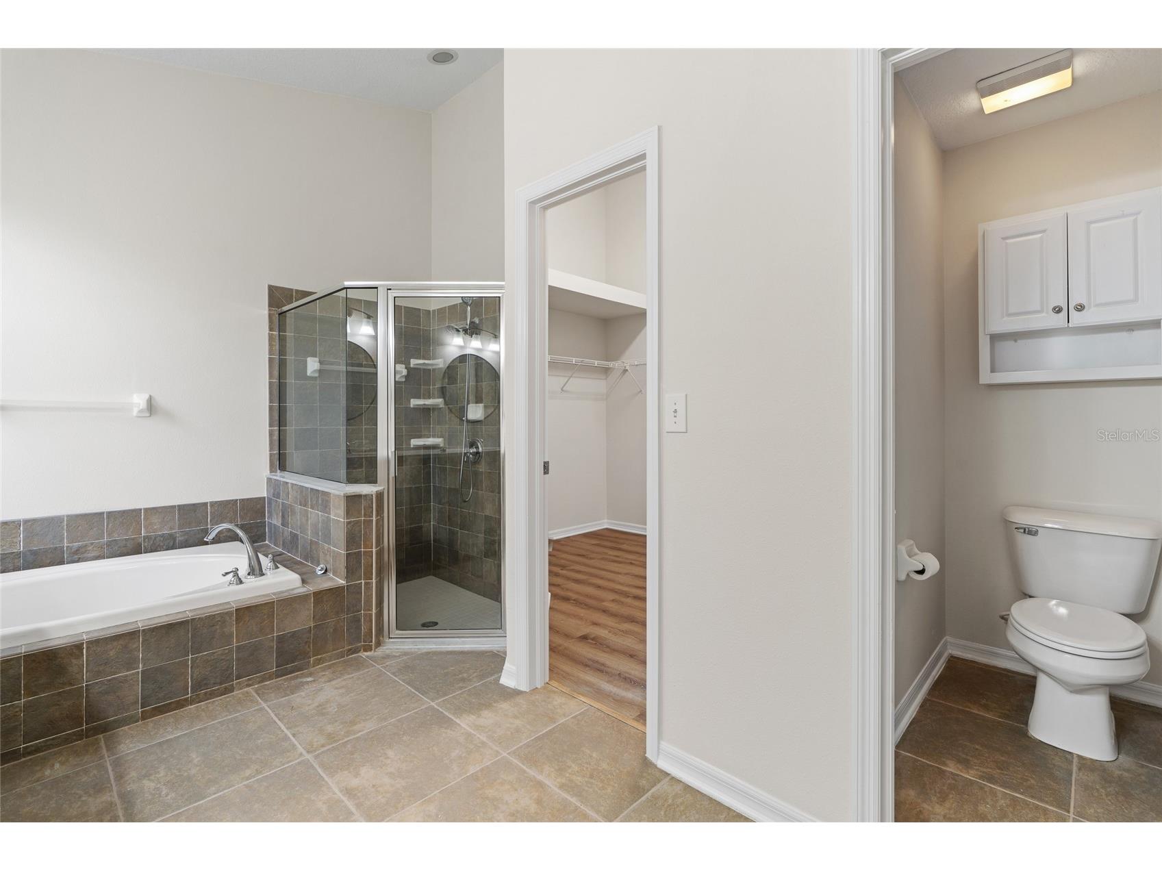 31421 Anniston Drive Wesley Chapel FL 33543 TB8517066 image19