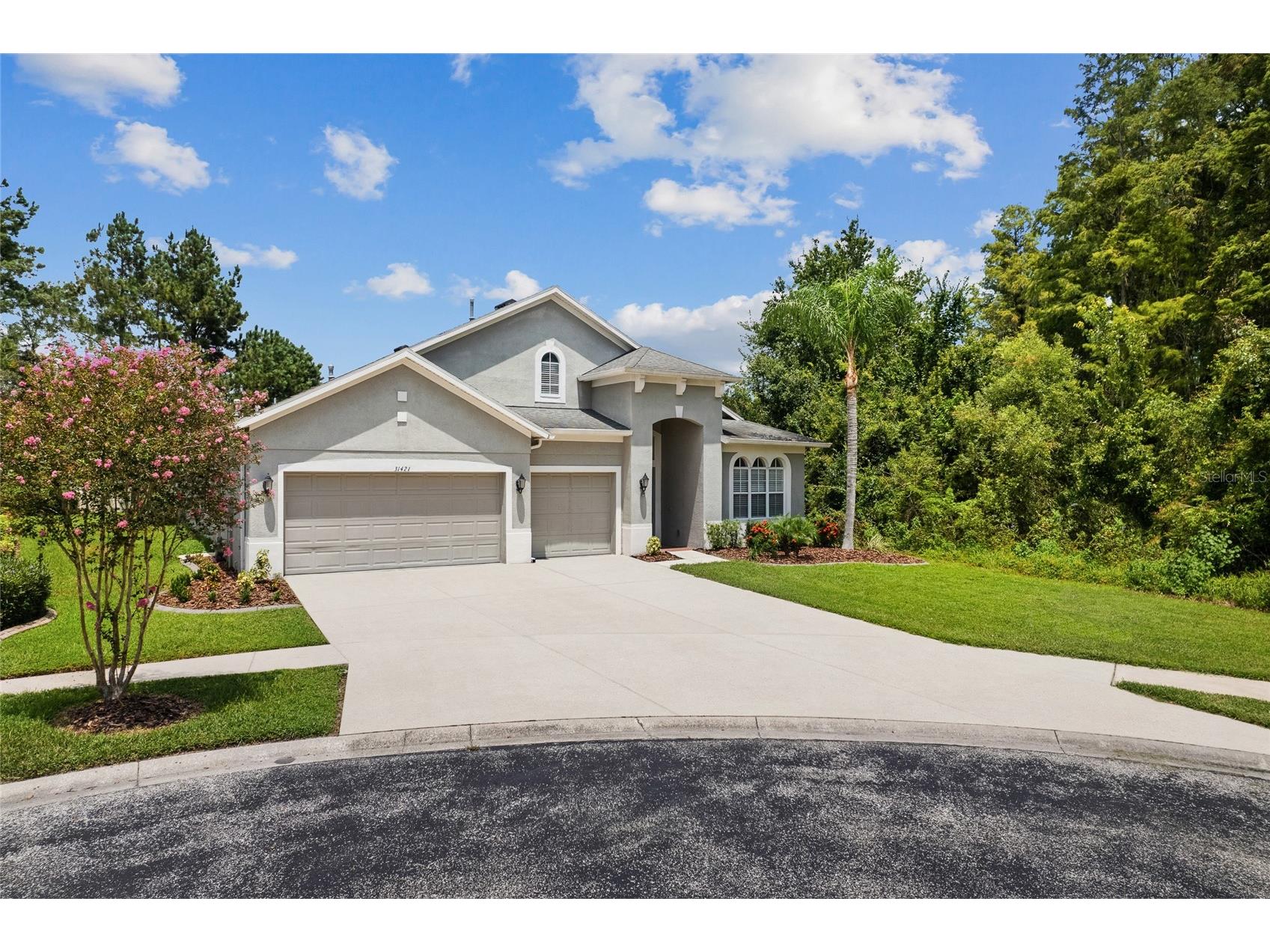 31421 Anniston Drive Wesley Chapel FL 33543 TB8517066 image2