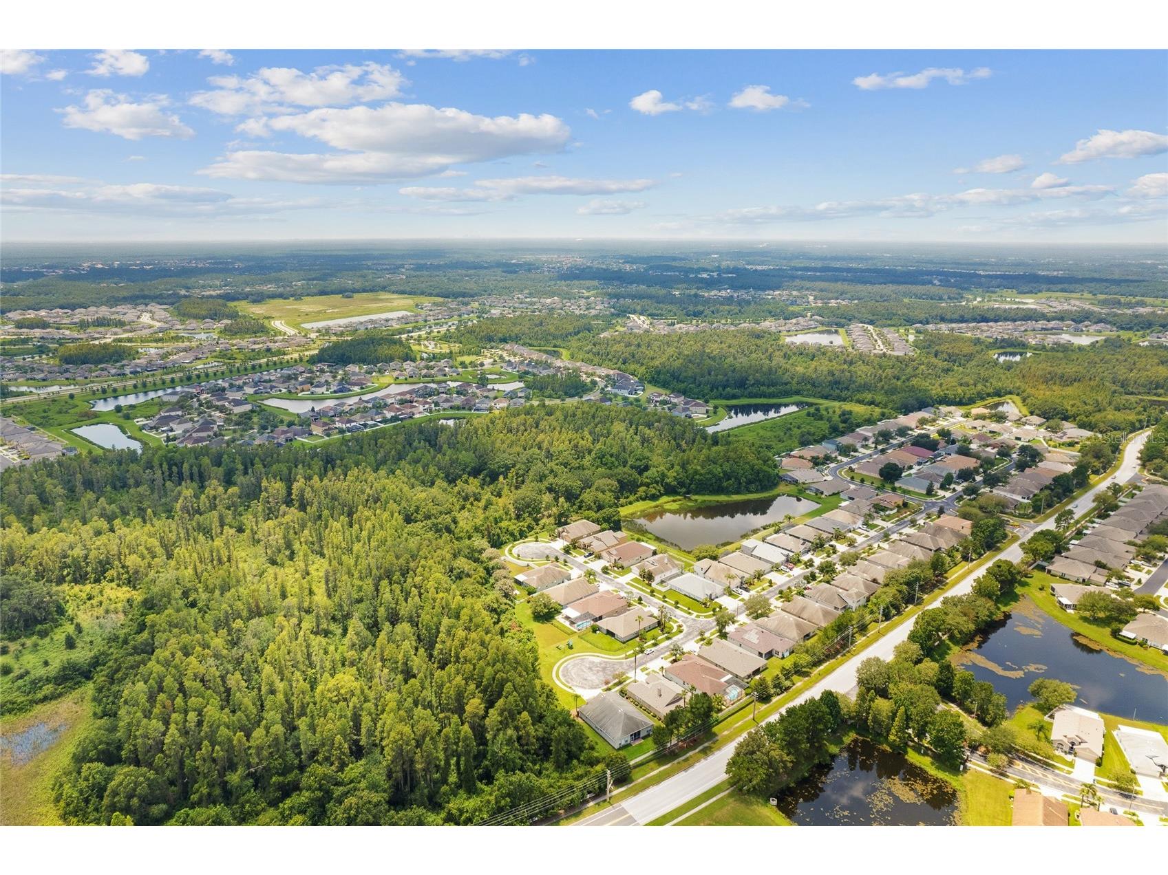 31421 Anniston Drive Wesley Chapel FL 33543 TB8517066 image30