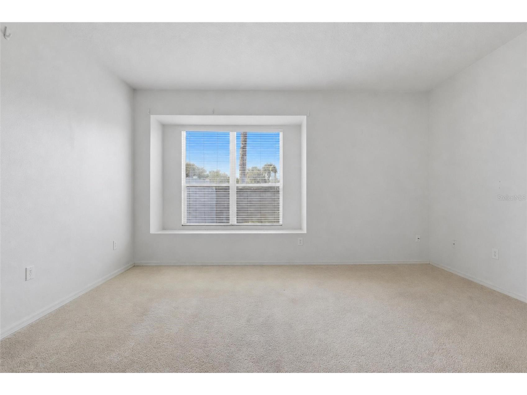 31421 Shaker Circle Wesley Chapel FL 33543 TB8528059 image14
