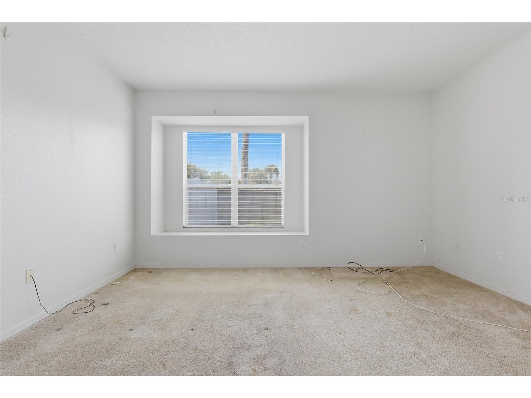 31421 Shaker Circle Wesley Chapel FL 33543 TB8528059 image19