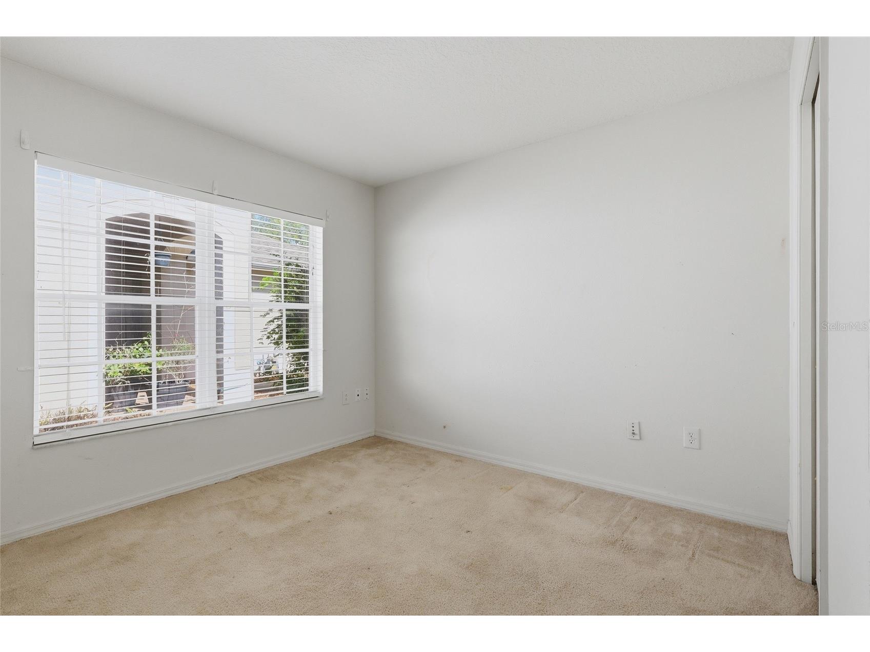 31421 Shaker Circle Wesley Chapel FL 33543 TB8528059 image20