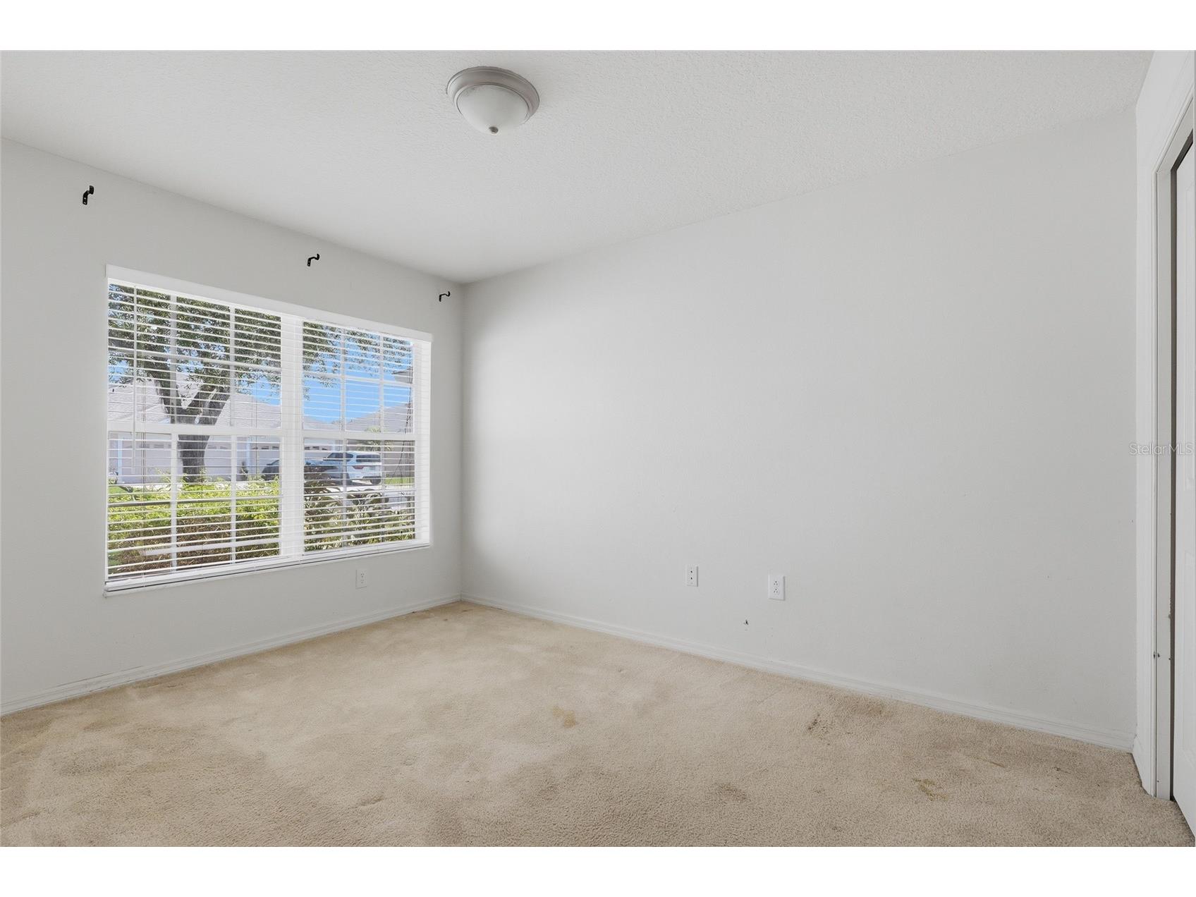 31421 Shaker Circle Wesley Chapel FL 33543 TB8528059 image21