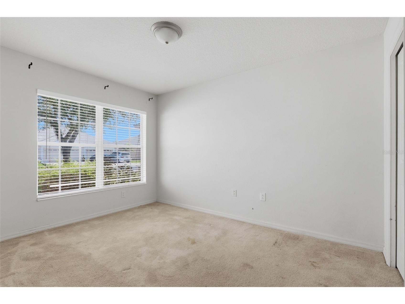 31421 Shaker Circle Wesley Chapel FL 33543 TB8528059 image22