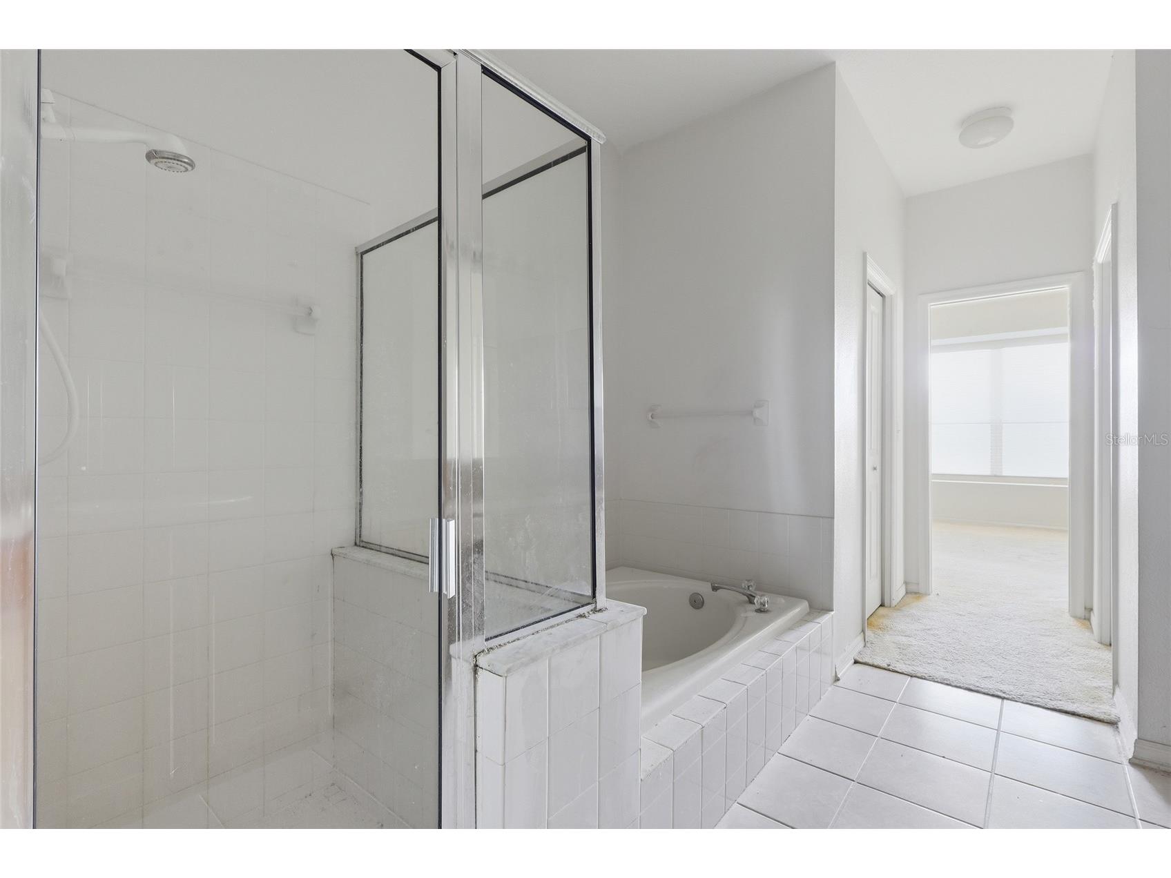 31421 Shaker Circle Wesley Chapel FL 33543 TB8528059 image23
