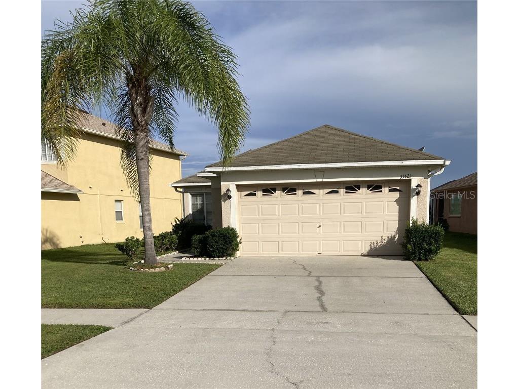 31421 Triborough Drive Wesley Chapel FL 33545 T3469409 image1