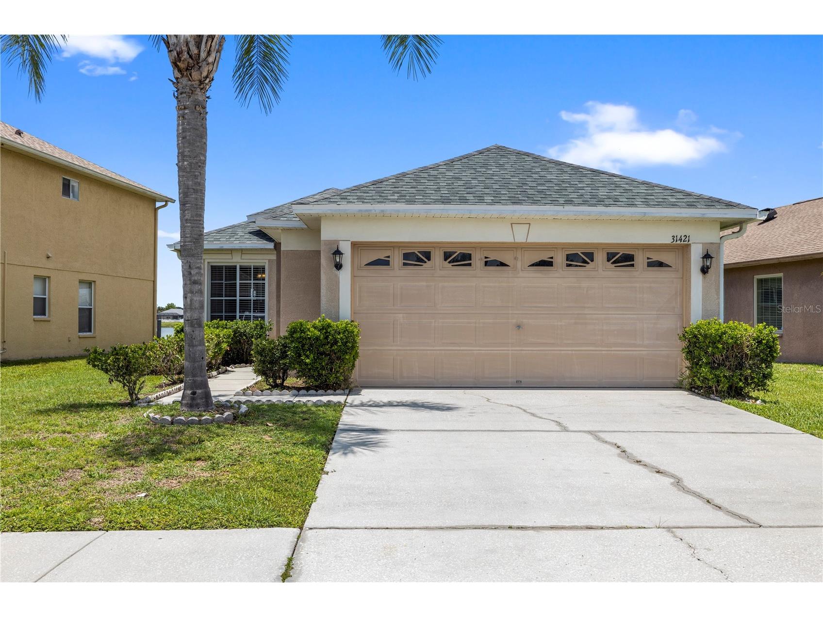 31421 Triborough Drive Wesley Chapel FL 33545 - BRIDGEWATER COMMUNITY POND TB8510349 image1