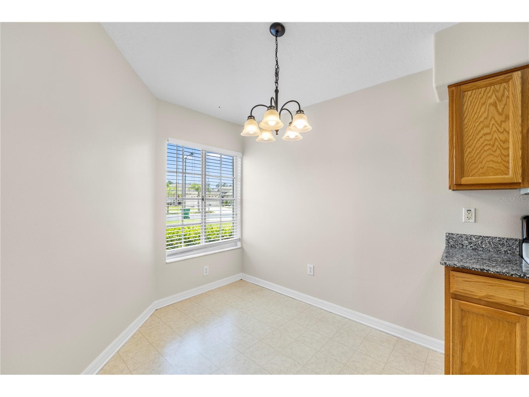 31421 Triborough Drive Wesley Chapel FL 33545 - BRIDGEWATER COMMUNITY POND TB8510349 image14