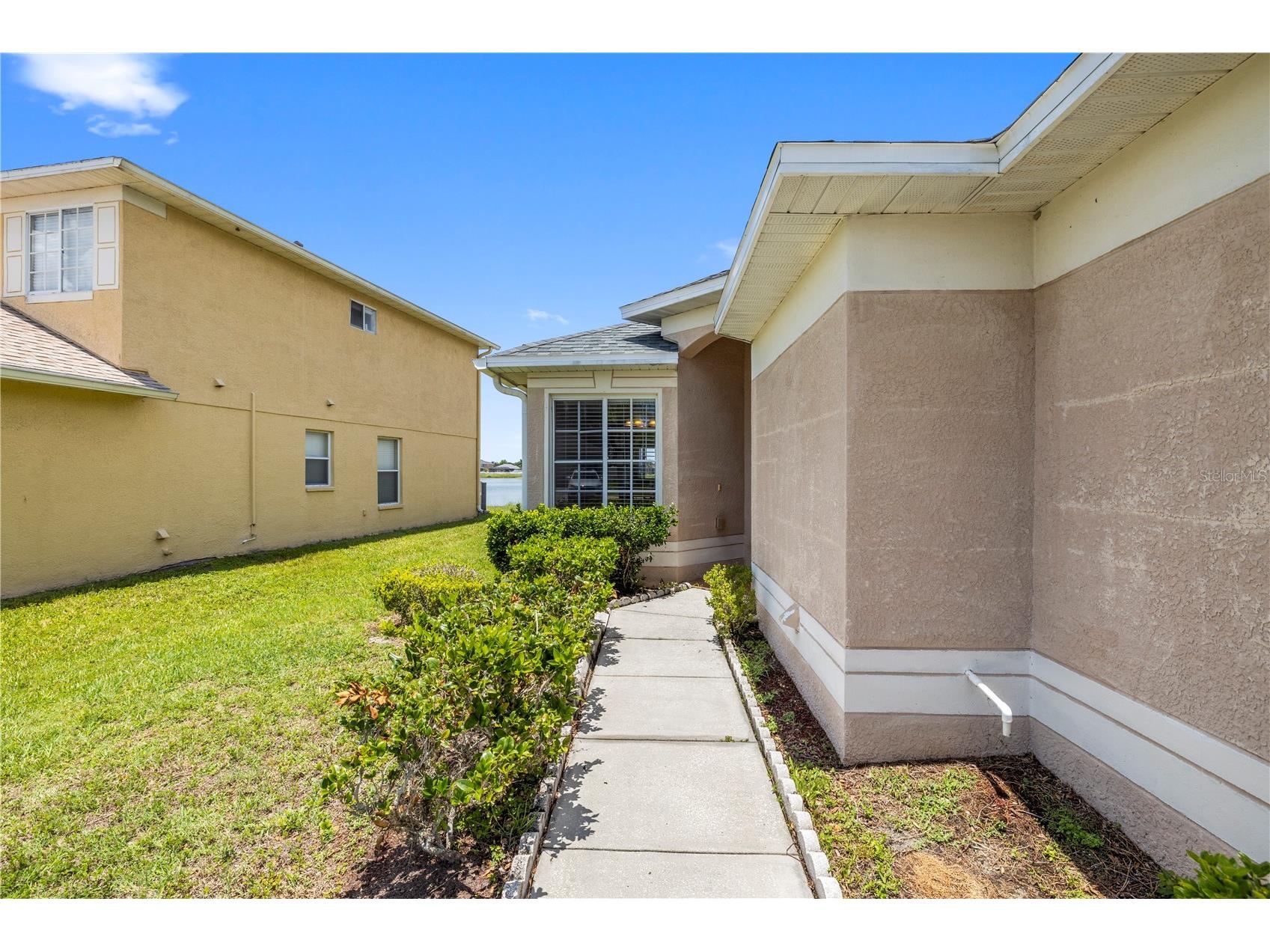 31421 Triborough Drive Wesley Chapel FL 33545 - BRIDGEWATER COMMUNITY POND TB8510349 image3