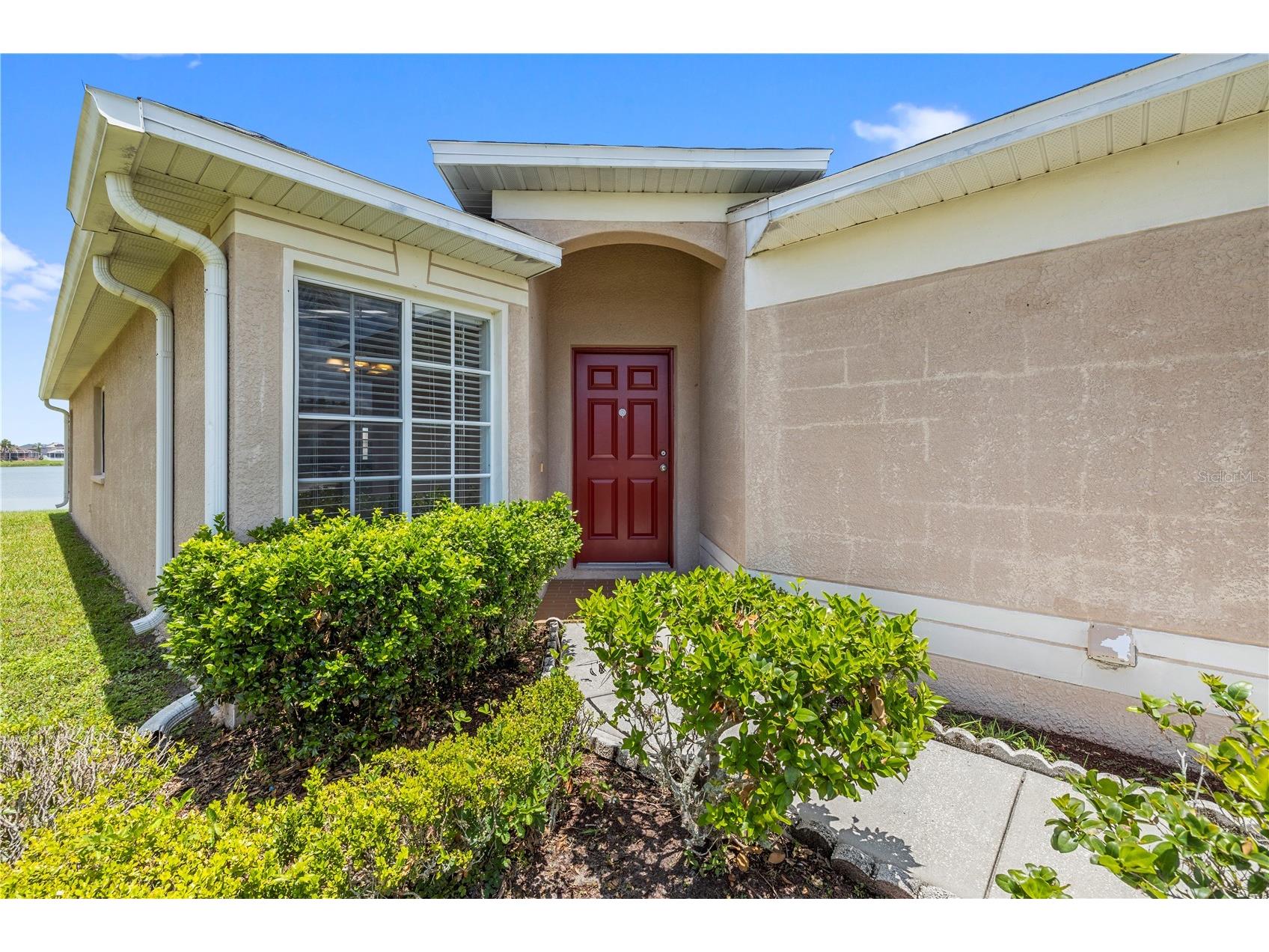 31421 Triborough Drive Wesley Chapel FL 33545 - BRIDGEWATER COMMUNITY POND TB8510349 image4
