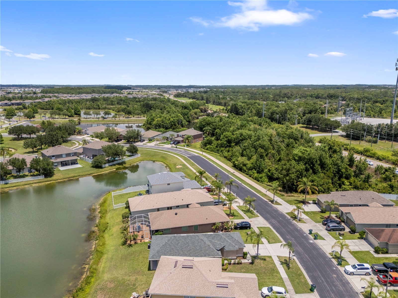 31421 Triborough Drive Wesley Chapel FL 33545 - BRIDGEWATER COMMUNITY POND TB8510349 image43