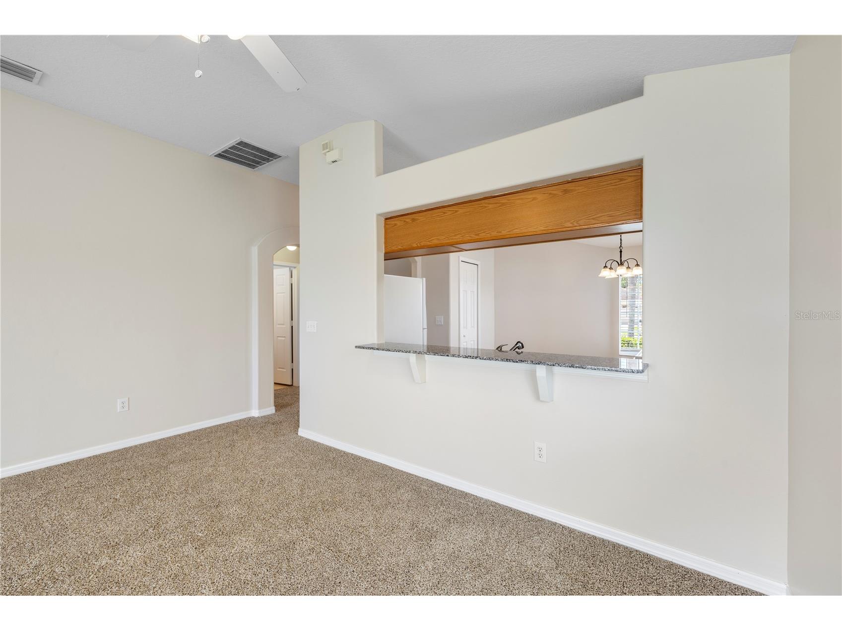 31421 Triborough Drive Wesley Chapel FL 33545 - BRIDGEWATER COMMUNITY POND TB8510349 image8