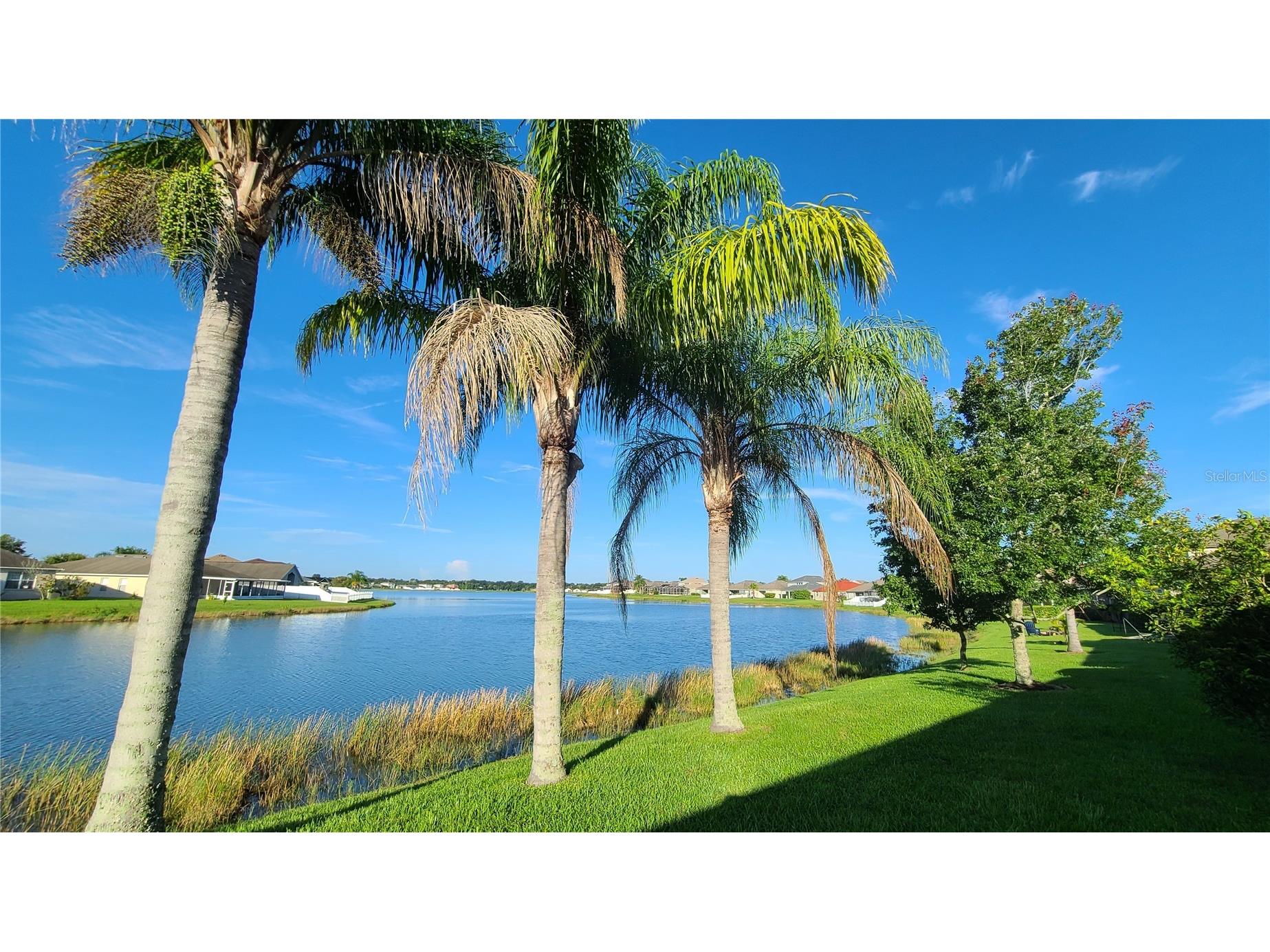 31422 Bridgegate Drive Wesley Chapel FL 33545 TB8505592 image16