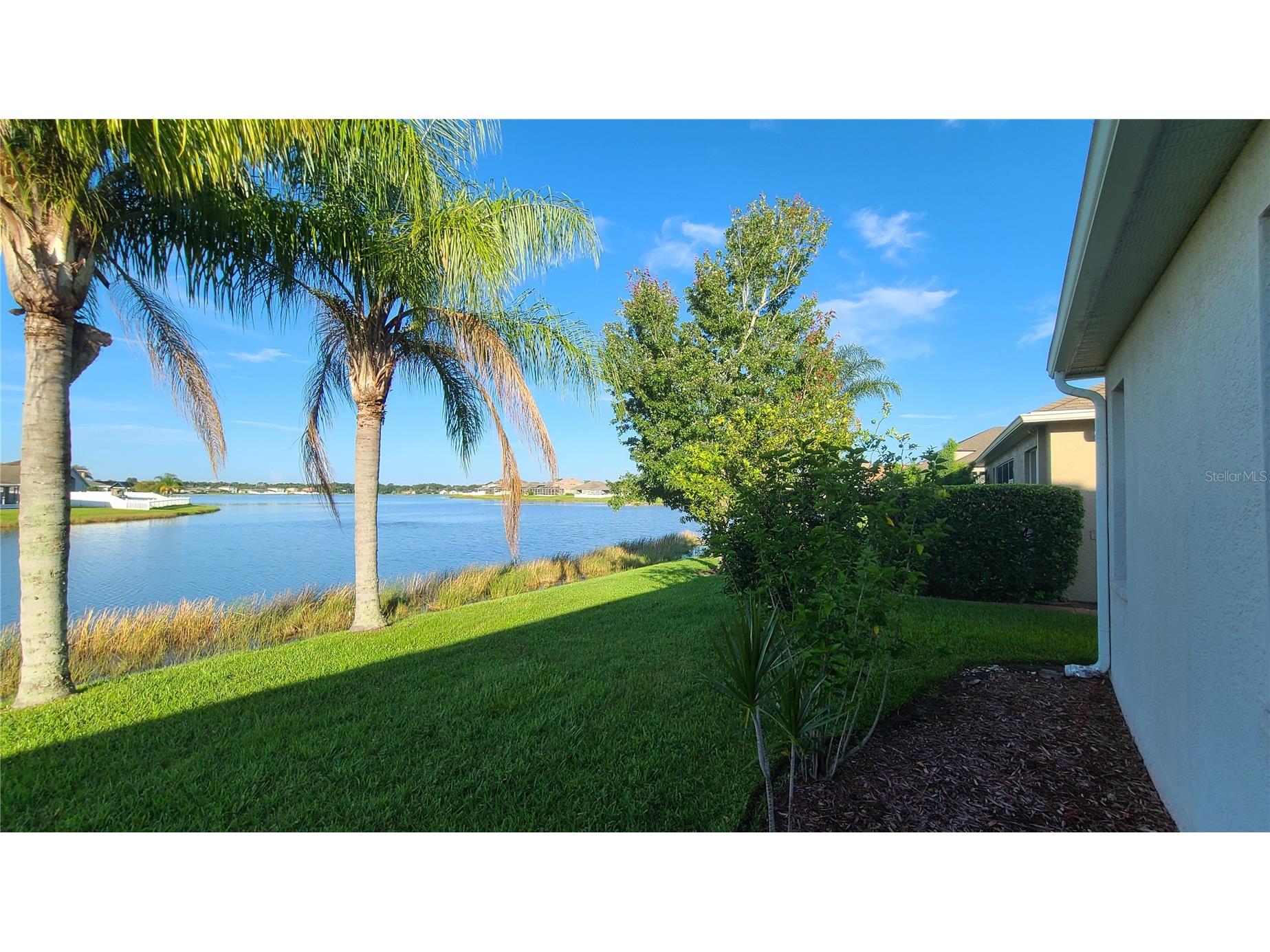31422 Bridgegate Drive Wesley Chapel FL 33545 TB8505592 image18