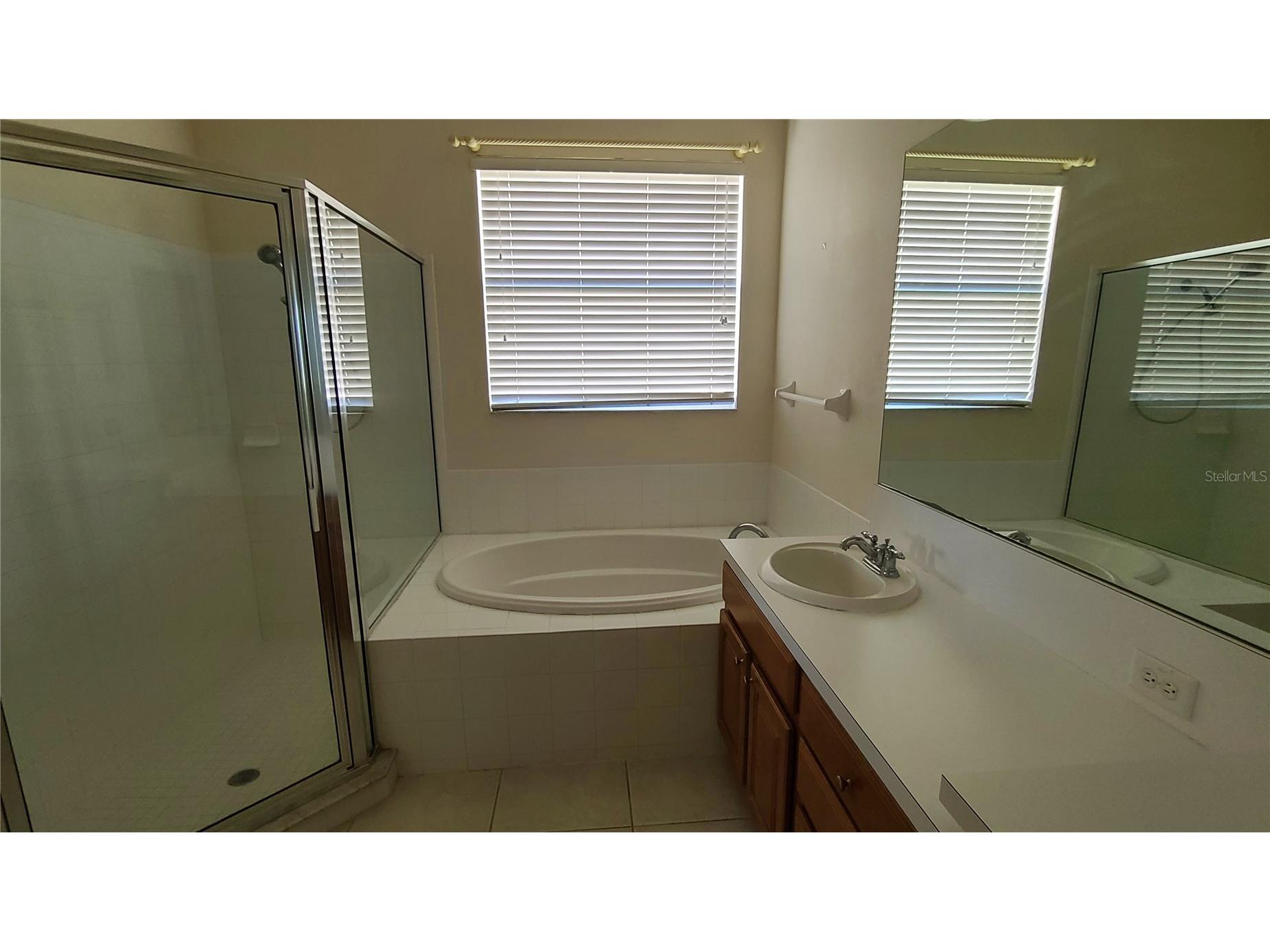31422 Bridgegate Drive Wesley Chapel FL 33545 TB8505592 image2