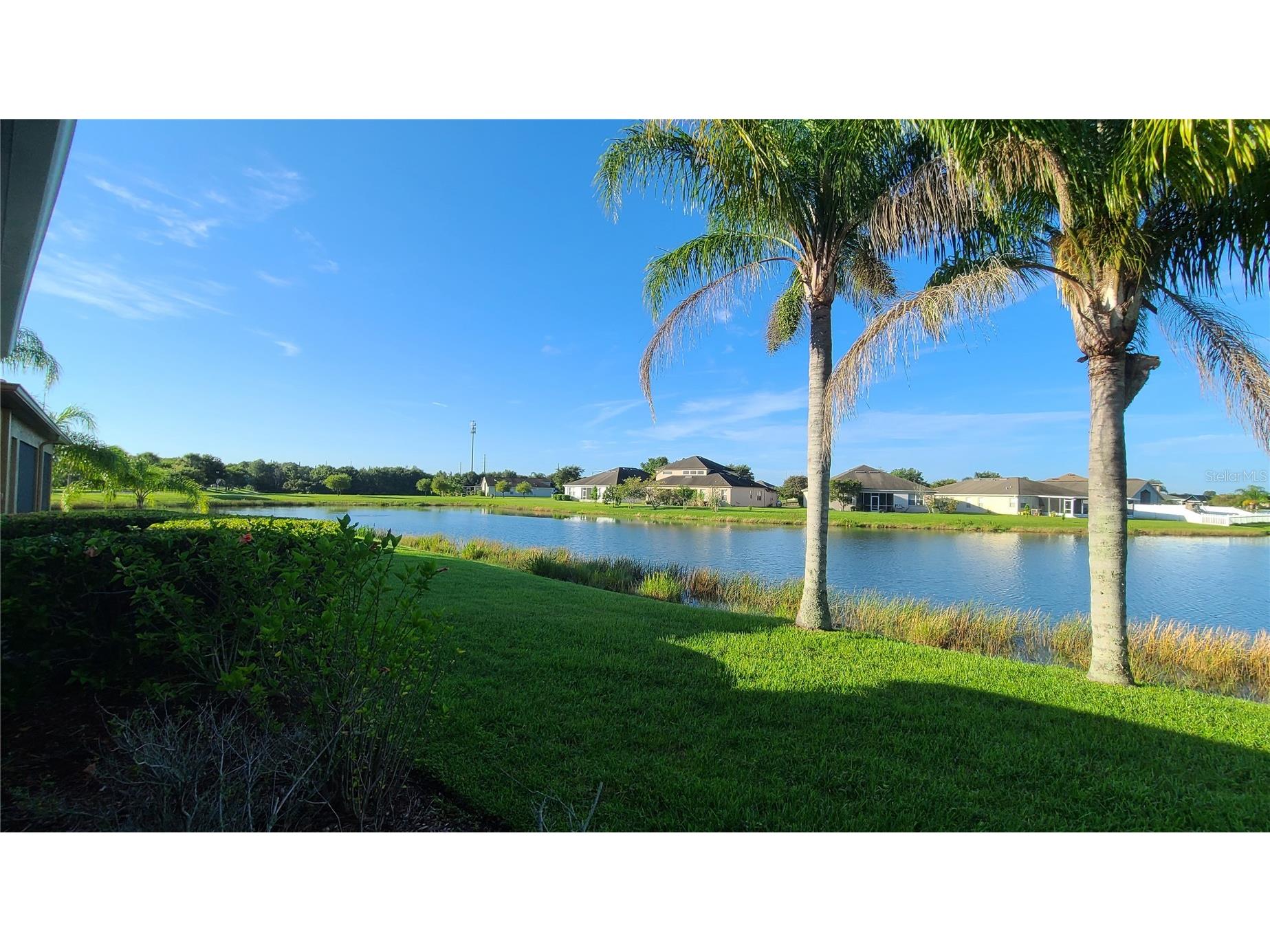31422 Bridgegate Drive Wesley Chapel FL 33545 TB8505592 image20