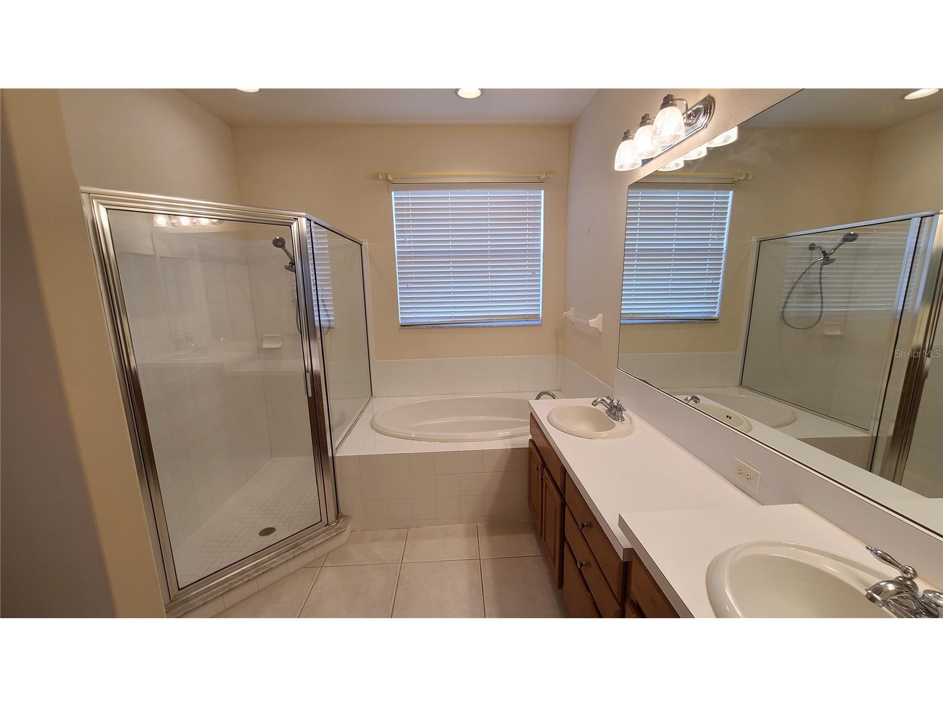 31422 Bridgegate Drive Wesley Chapel FL 33545 TB8505592 image21