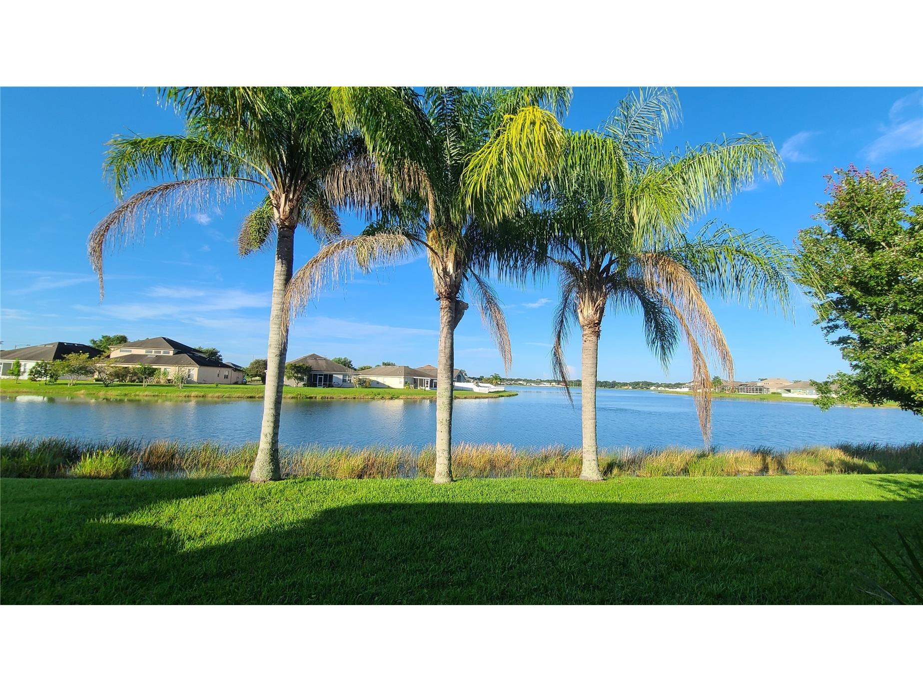 31422 Bridgegate Drive Wesley Chapel FL 33545 TB8505592 image7