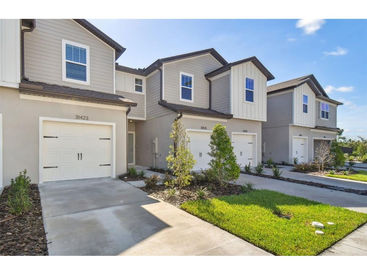 31423 Amberview Bend Wesley Chapel FL 33545 T3442837 image1