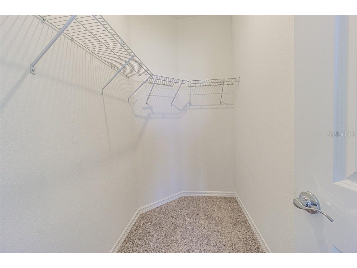 31423 Paper Birch Street Wesley Chapel FL 33545 TB8456248 image14