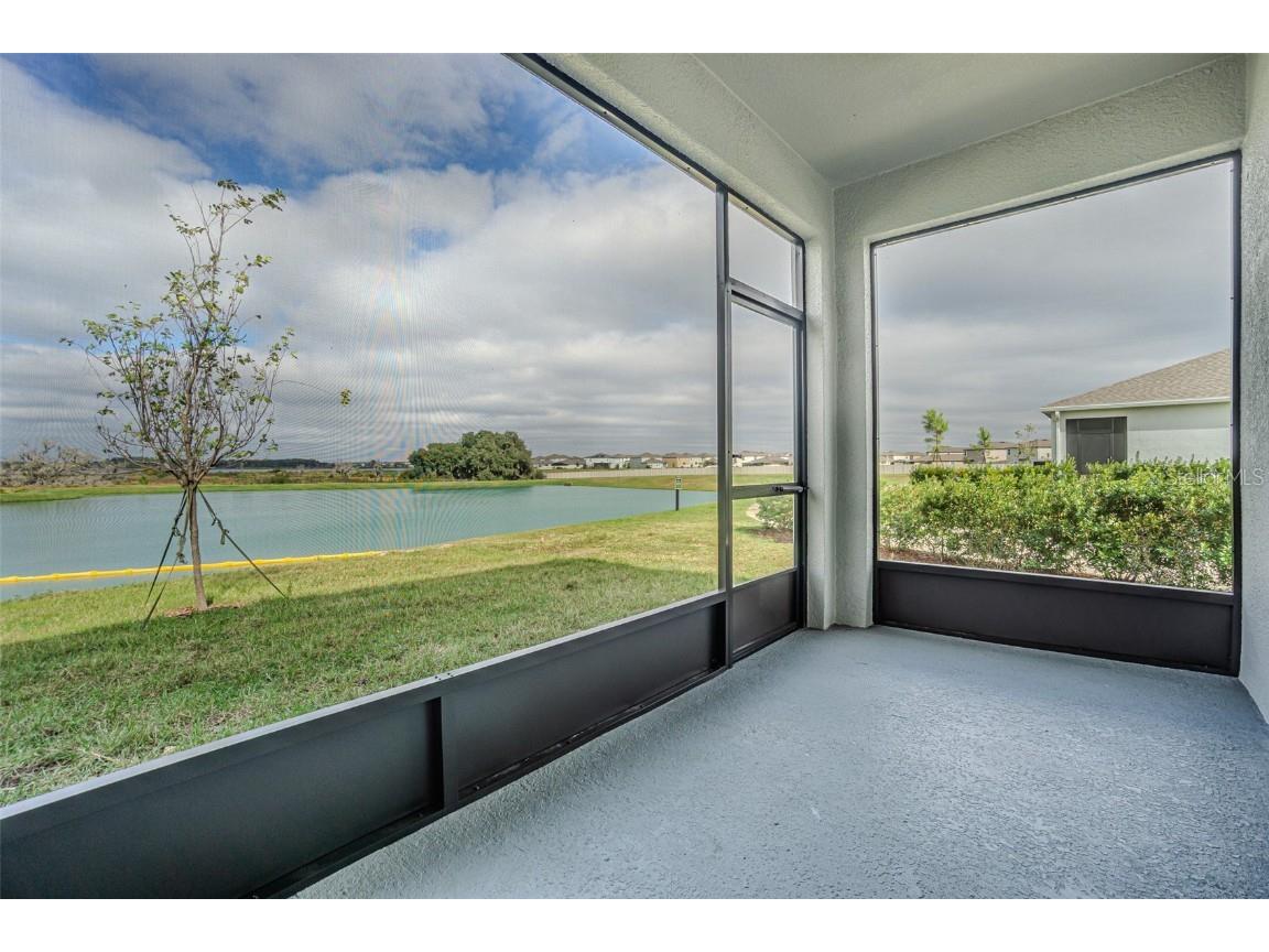 31423 Paper Birch Street Wesley Chapel FL 33545 TB8456248 image23