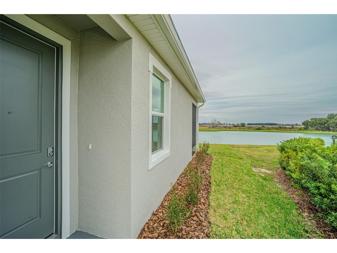 31423 Paper Birch Street Wesley Chapel FL 33545 TB8456248 image24