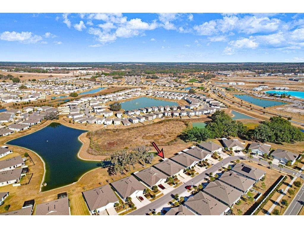 31425 Mango Fade Way San Antonio FL 33576 TB8474803 image28