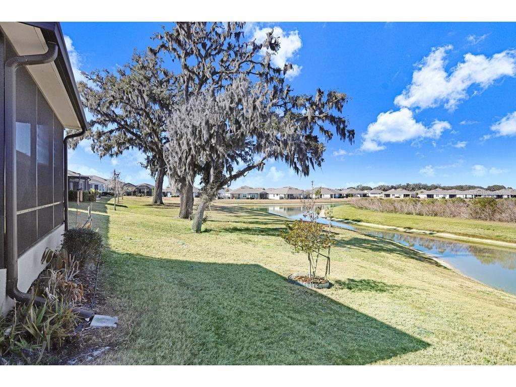 31425 Mango Fade Way San Antonio FL 33576 TB8474803 image30