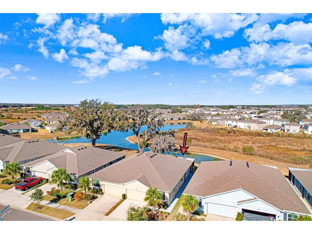 31425 Mango Fade Way San Antonio FL 33576 TB8474803 image4