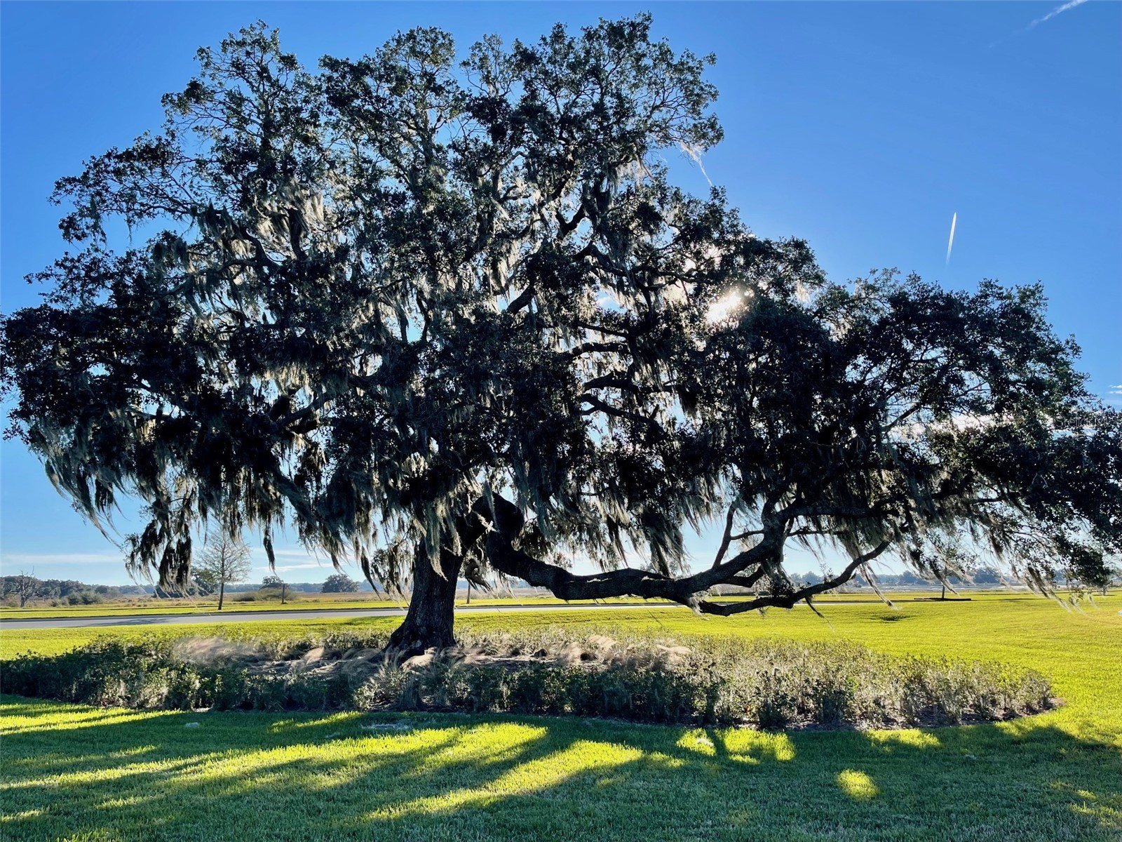 31425 Mango Fade Way San Antonio FL 33576 TB8474803 image54