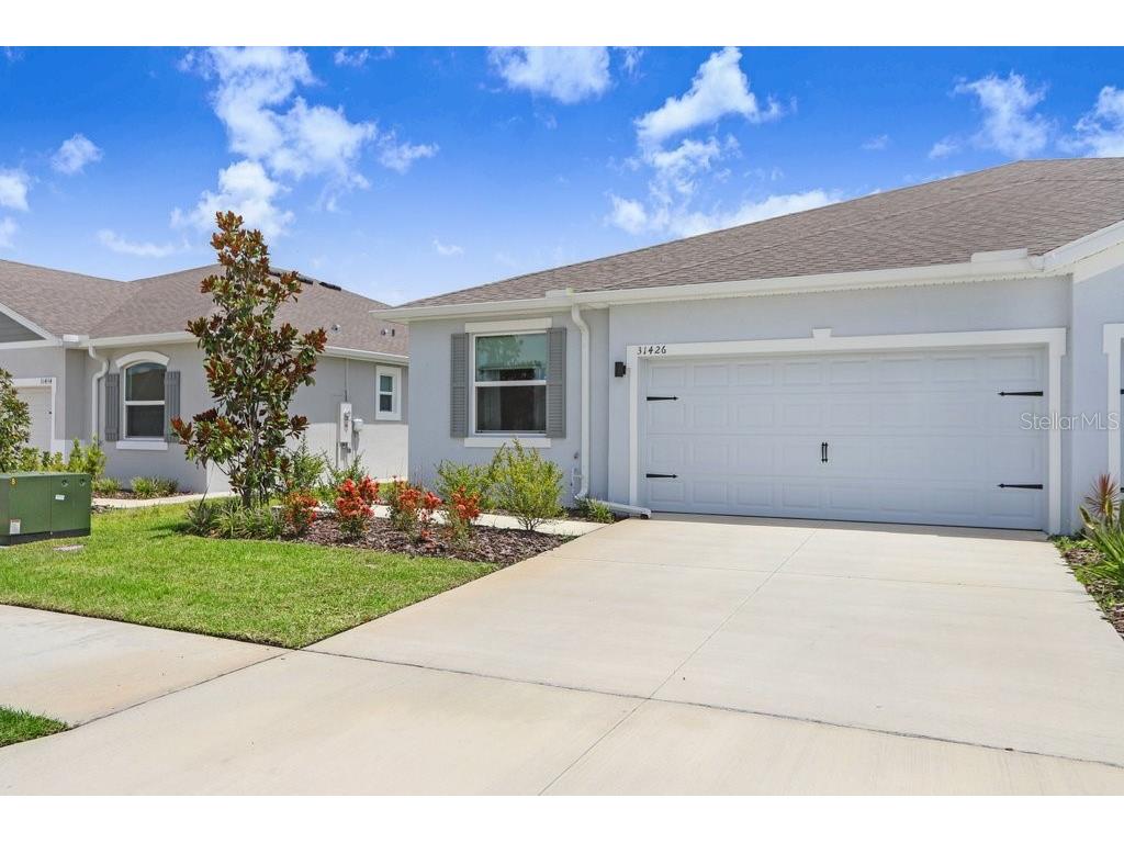 31426 Ancient Sage Road Wesley Chapel FL 33545 TB8400526 image1