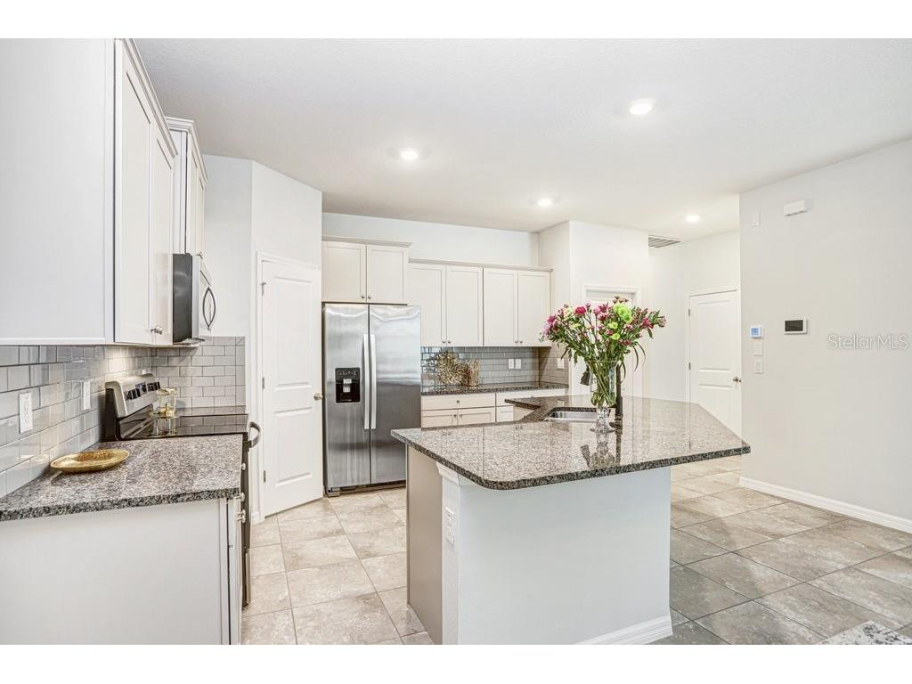 31426 Mango Fade Way San Antonio FL 33576 TB8483289 image22