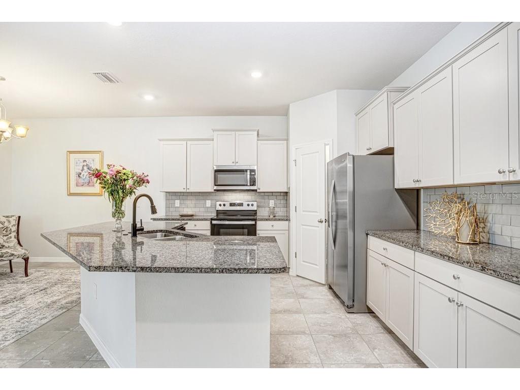 31426 Mango Fade Way San Antonio FL 33576 TB8483289 image23