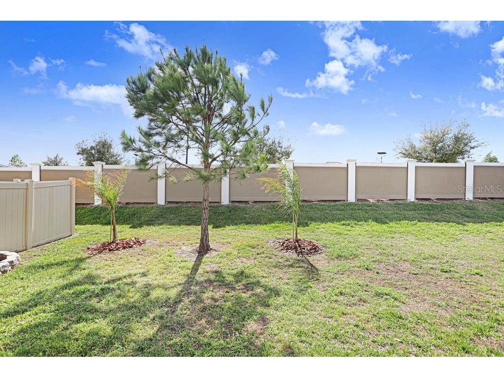 31426 Mango Fade Way San Antonio FL 33576 TB8483289 image31