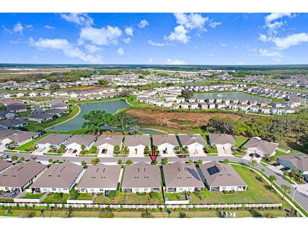 31426 Mango Fade Way San Antonio FL 33576 TB8483289 image36