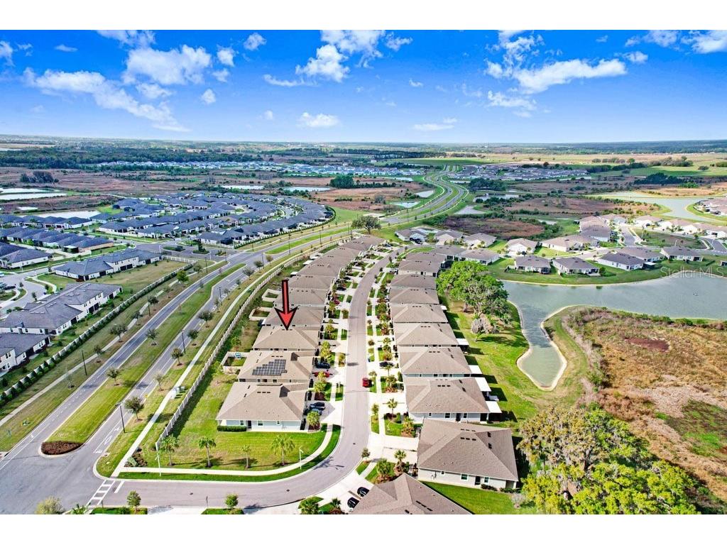 31426 Mango Fade Way San Antonio FL 33576 TB8483289 image39