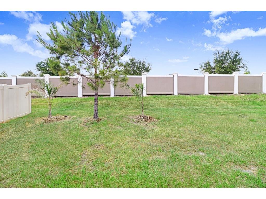 31426 Mango Fade Way San Antonio FL 33576 TB8521513 image30
