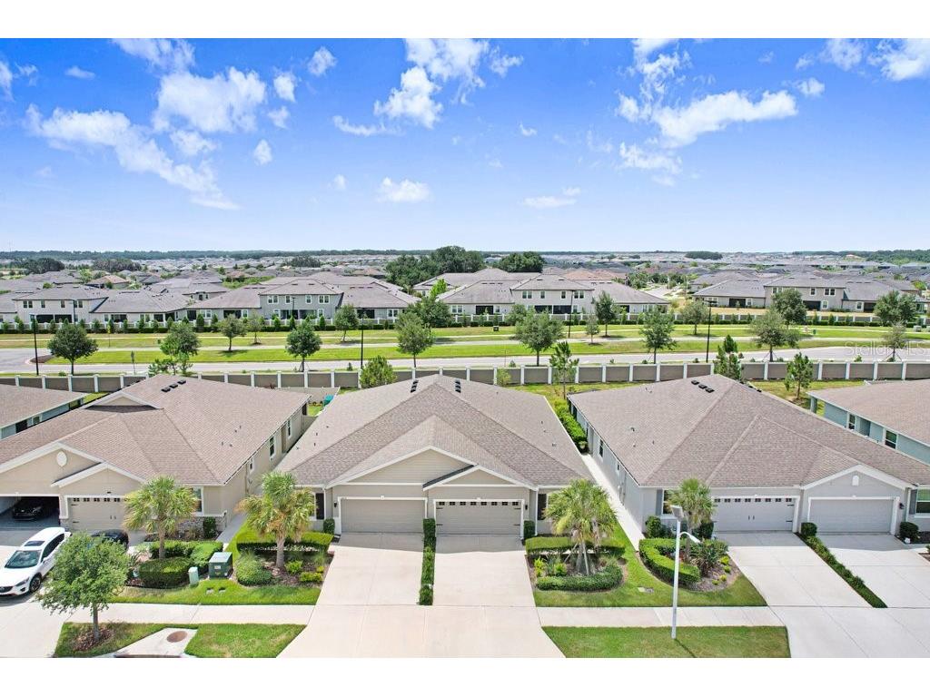 31426 Mango Fade Way San Antonio FL 33576 TB8521513 image47
