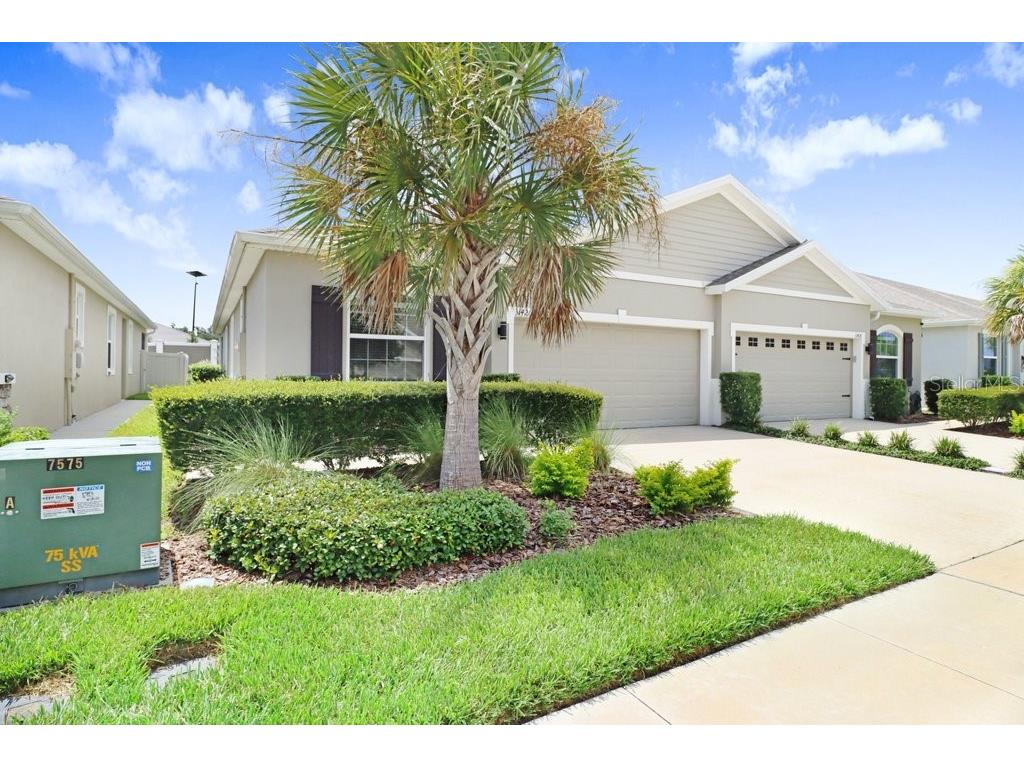31426 Mango Fade Way San Antonio FL 33576 TB8521513 image5