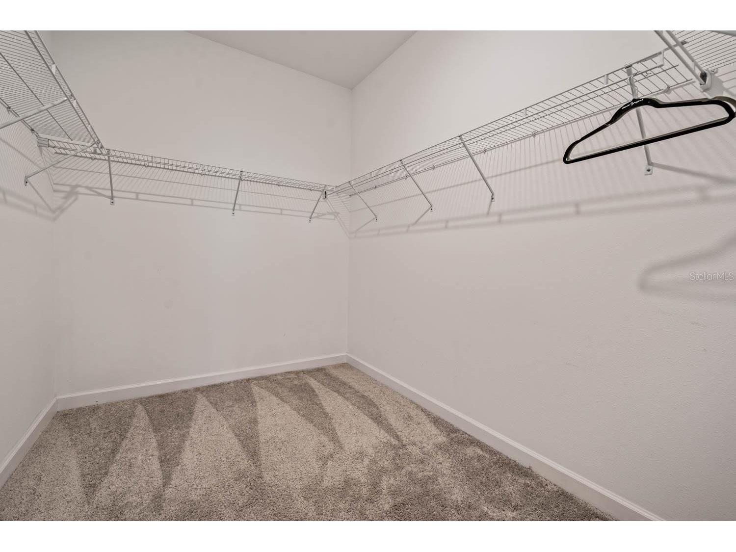 31427 Cannon Rush Drive San Antonio FL 33576 TB8505404 image14