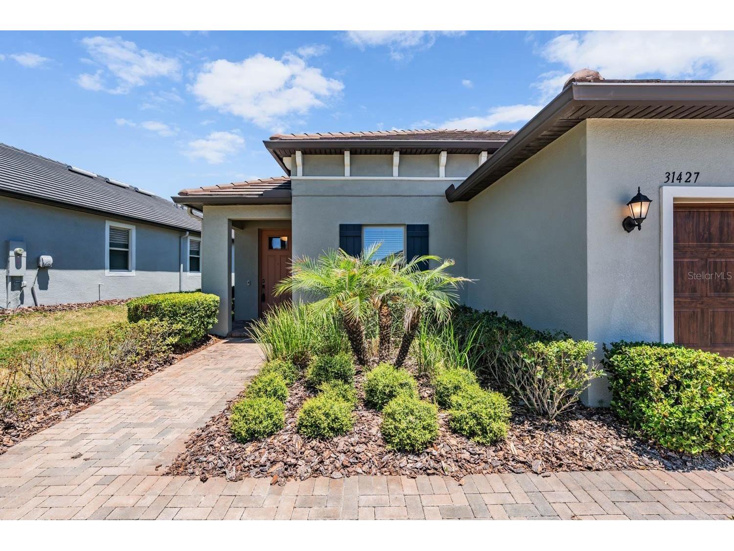 31427 Cannon Rush Drive San Antonio FL 33576 TB8505404 image26