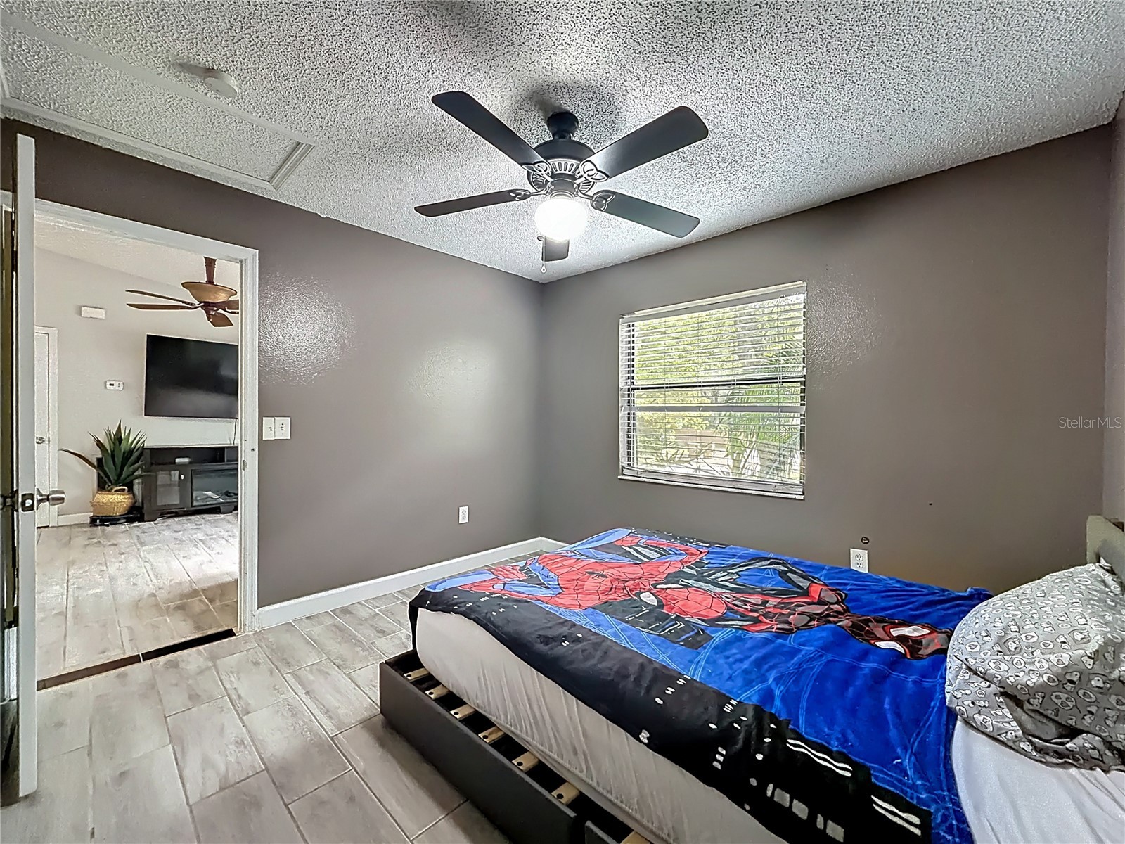 31427 Ghent Avenue Mount Plymouth FL 32776 O6394741 image24