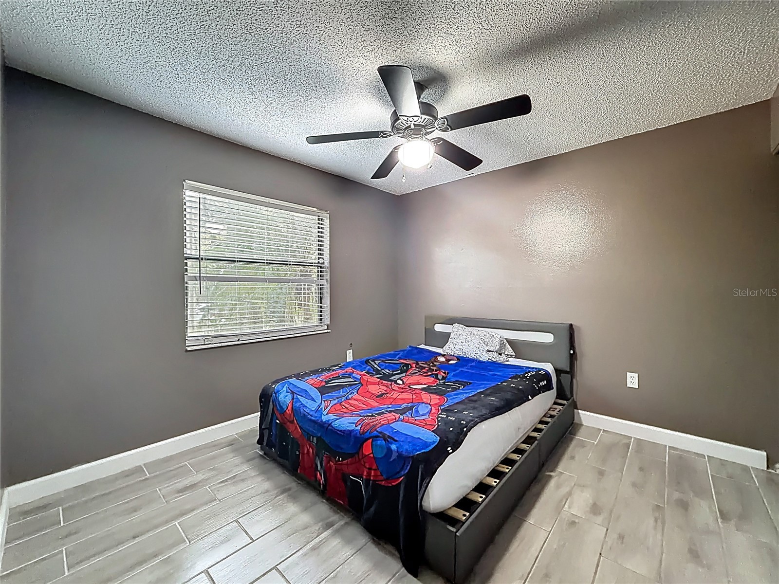 31427 Ghent Avenue Mount Plymouth FL 32776 O6394741 image25