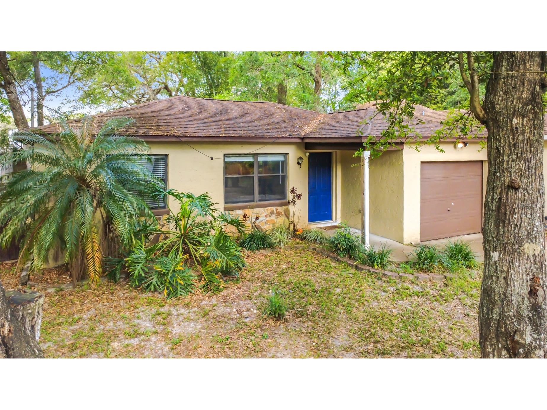 31427 Ghent Avenue Mount Plymouth FL 32776 O6394741 image3